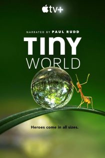 سریال Tiny World