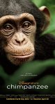 مستند Chimpanzee 2012