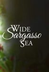 فیلم Wide Sargasso Sea 1993