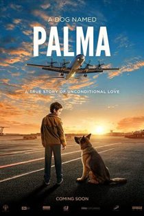 فیلم Palma 2021