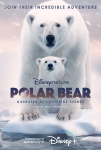 فیلم Polar Bear 2022
