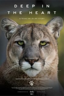 فیلم Deep in the Heart: A Texas Wildlife Story 2022