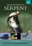 فیلم The Serpent 1973