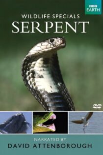 فیلم The Serpent 1973