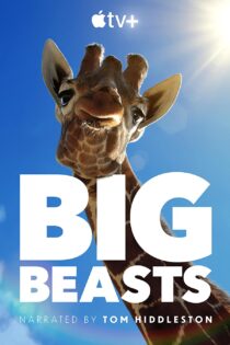 سریال Big Beasts
