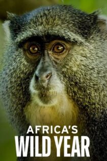 سریال Africa’s Wild Year