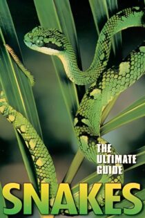 فیلم The Ultimate Guide: Snakes 1997