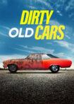 سریال Dirty Old Cars