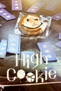 سریال Hi Cookie